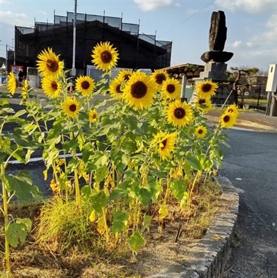 ふれあいセンター