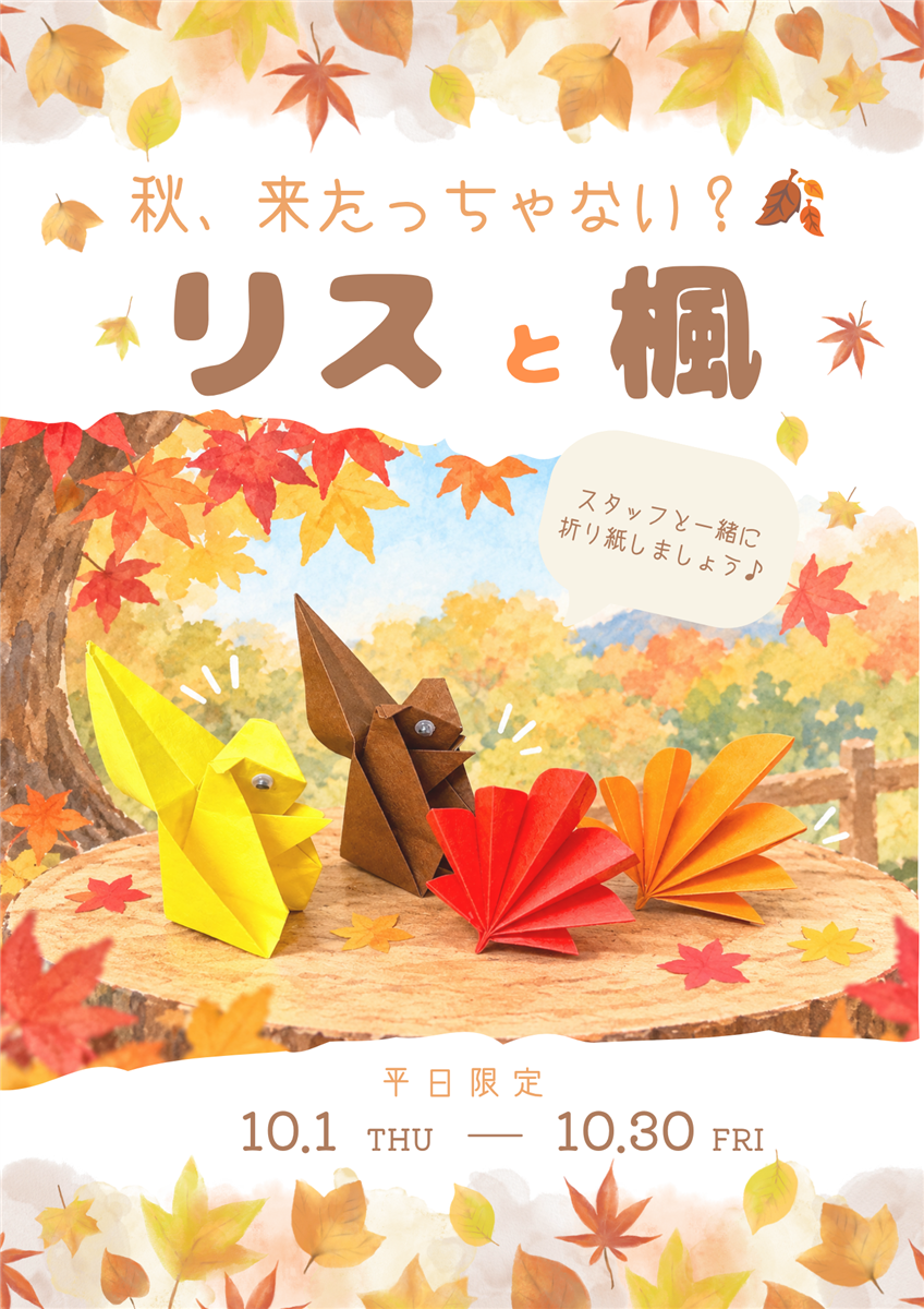 リスと楓の画像
