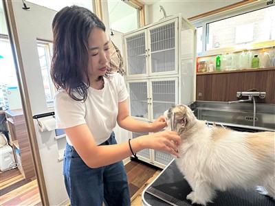 カットしている様子