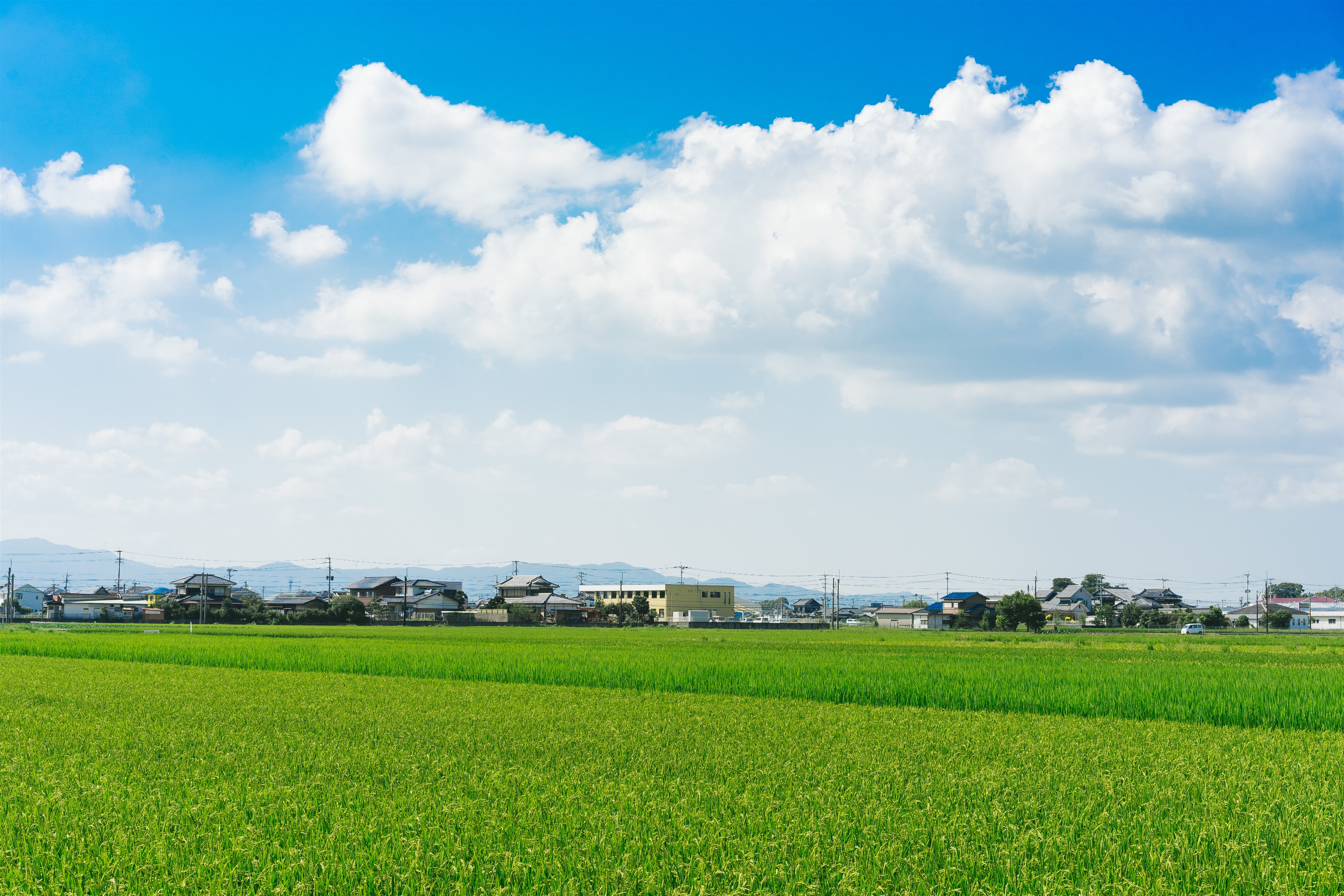 大空と田んぼ