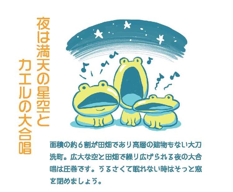 空とカエルの大合唱